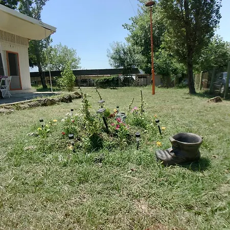 Bulgaria Pesina אקהטופול